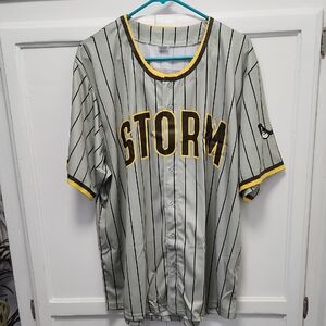 Lake Elsinore Storm Baseball Jersey